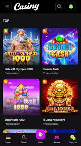 All You Need to Know About Casiny Casino