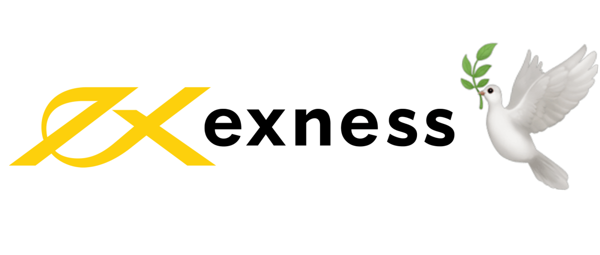 All You Need to Know About Exness MT4 App