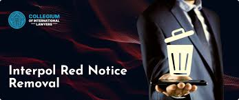 An Overview of the Interpol Wanted List High-Profile Cases and Their Implications An Overview of the Interpol Wanted List High-Profile Cases and Their Implications